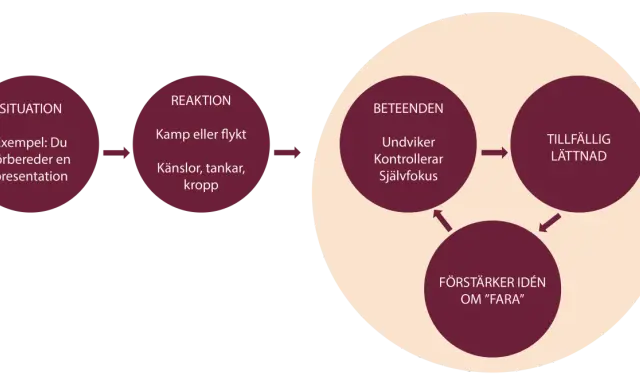 Schema som illustrerar acceptans psykologi: situation, reaktion (kamp/flykt, känslor, tankar, kropp), beteenden (undviker, kontrollerar, självfokus) leder till tillfällig lättnad, som förstärker idén om fara.