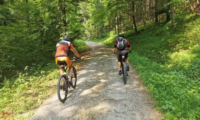 Zwei Radfahrer genießen eine Gravel Tour durch einen sonnigen Wald in Deutschland.