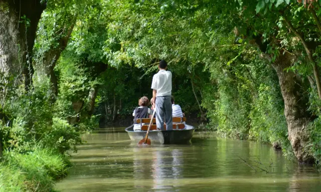 Une petite barque navigue sur un canal bordé d'arbres luxuriants. Un homme debout manœuvre la barque avec une rame, transportant des passagers.