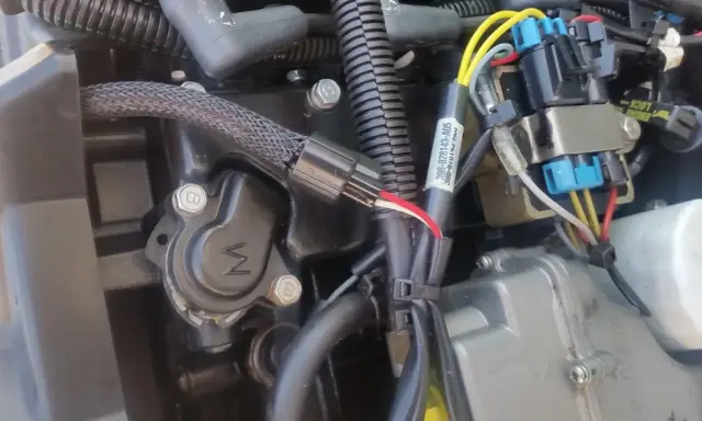 Détail du câblage d'un moteur Mercury 50cv 4 temps. Fiche technique visible sur un câble.
