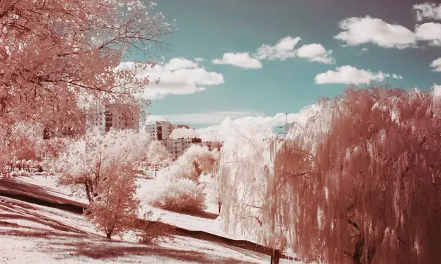 Paisaje urbano con árboles de sauce llorón y edificios, capturado en **fotografía infrarroja** con un cielo azul y nubes blancas.