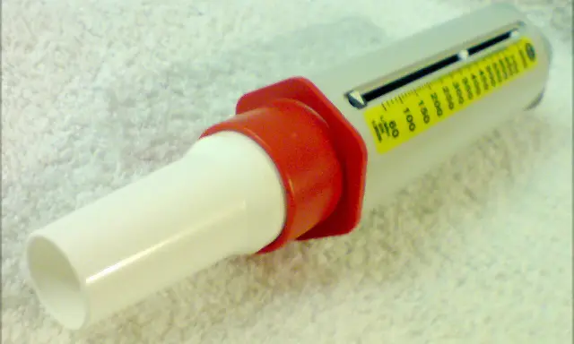 Nahaufnahme eines Peak-Flow-Meters mit Skala und rotem Mundstück.