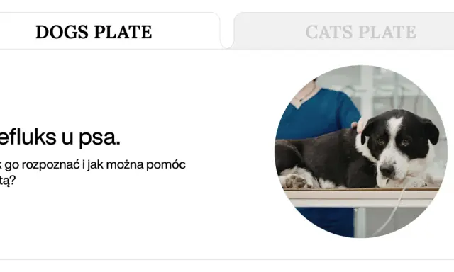 Pies z objawami refluksu leży na stole weterynaryjnym. Tekst informuje o refluksie u psa i sposobach pomocy dietą.
