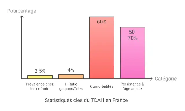 Graphique montrant les statistiques clés du TDAH en France : prévalence chez les enfants (3-5%), ratio garçons/filles (4%), comorbidités (60%), et persistance à l'âge adulte (50-70%). Un test TDAH ado pourrait révéler ces chiffres.