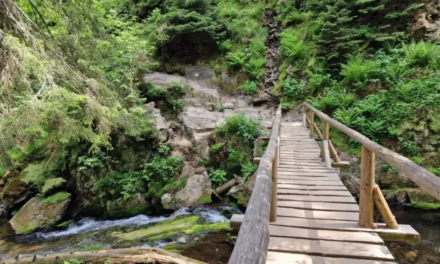 Drewniany mostek nad potokiem w skalistej, zalesionej dolinie Białej Opawy.