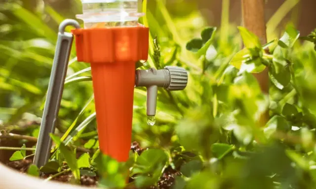 Un système d'arrosage goutte à goutte pour potager, avec une goutte d'eau tombant d'un dispositif orange et gris au milieu de plantes vertes.