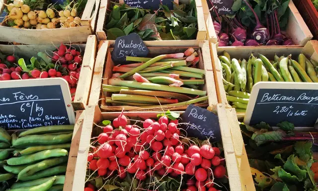 Un étal de marché débordant de légumes frais, offrant un aperçu des spécialités de Bretagne : radis, fèves, rhubarbe, navets, betteraves et choux rave.