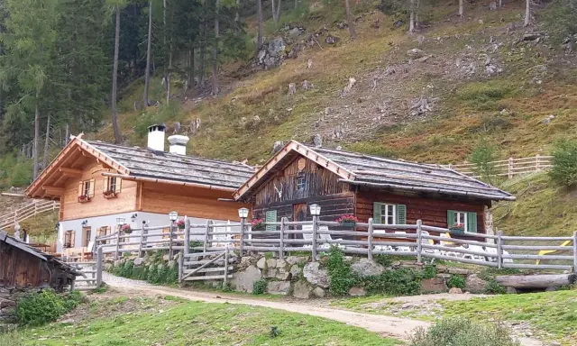 Tablander Alm a Parcines, con due baite in legno e recinzione, immerse nel verde di un pendio boscoso.