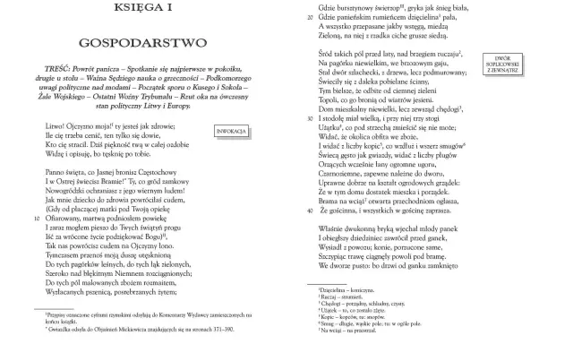 Pan Tadeusz ma 20 ksiąg. W tej księdze opisano dwór Soplicowski z zewnątrz.