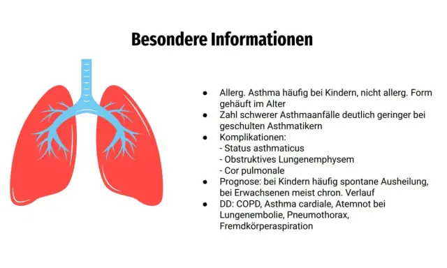 Lungenabbildung mit Informationen zu Asthma. Unterscheidung zwischen Asthma bronchiale und Asthma cardiale wird thematisiert.