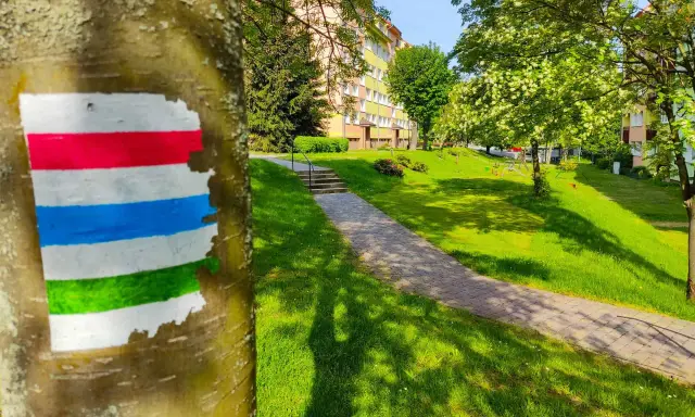 Kolor szlaku na drzewie – czerwony, biały, niebieski i zielony – wyznacza ścieżkę przez zielony park z blokami mieszkalnymi w tle.