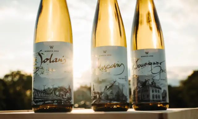 Trzy butelki białego wina z etykietami "Solaris", "Muscaring" i "Souvigner" na tle zachodzącego słońca.