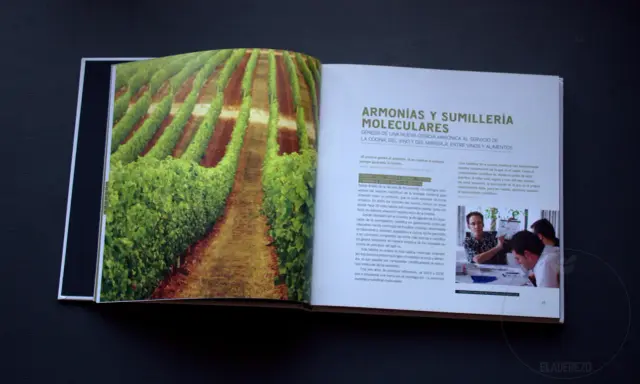 Viñedos verdes y un texto sobre armonías moleculares y papilas gustativas.