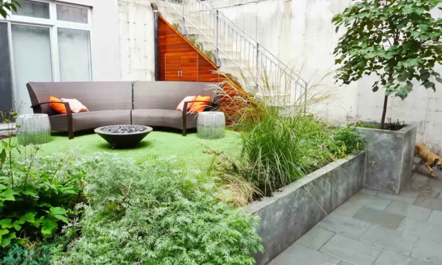 Un coin béton transformé en jardin : canapé, feu de camp, plantes luxuriantes et un chien curieux.