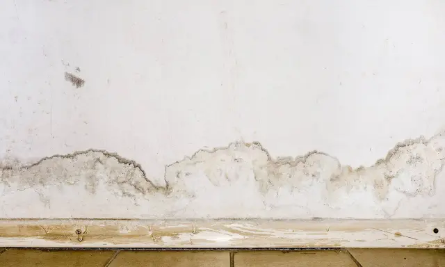 Muffa in casa: macchie scure e umidità sul muro vicino al battiscopa, segno di un problema da risolvere.