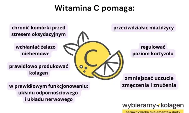 Kwas askorbinowy (witamina C) chroni komórki, wspiera odporność i produkcję kolagenu. Pomaga też wchłaniać żelazo i regulować kortyzol.
