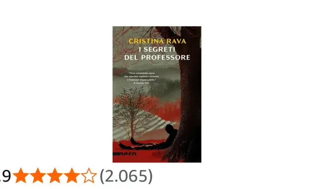 Copertina del libro "I segreti del professore" di Cristina Rava, con un uomo silhouette appoggiato a un albero in un paesaggio autunnale.