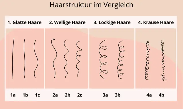 Vergleich von Haartypen: glatt, wellig, lockig und kraus. Hilft, den eigenen haartyp bestimmen.