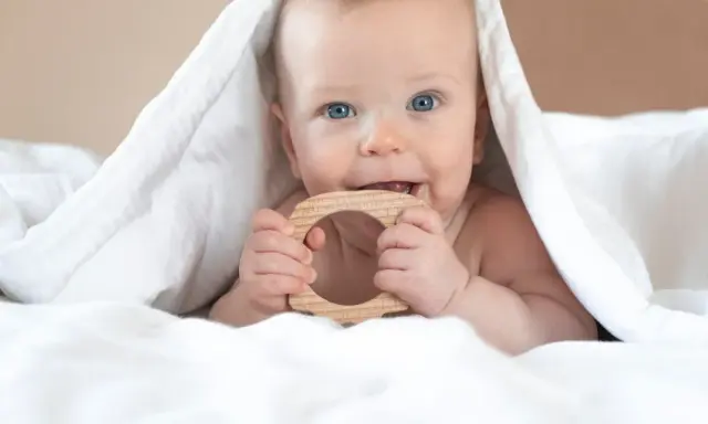 Ein Baby mit blauen Augen kaut auf einem Holzring. Vielleicht ist das der erster zahn baby, der durchbricht.