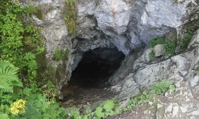 Wejście do Smoczej Jamy w Tatrach, otoczone zielenią i skałami. Ciemny otwór zaprasza do tajemniczego wnętrza.