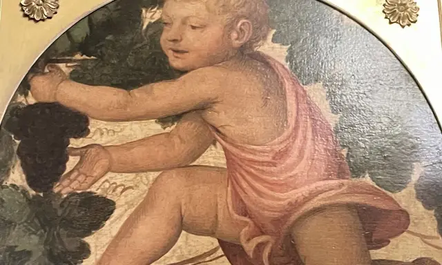 Enfant aux raisins, œuvre de Bernardino Luini, s'étire pour cueillir une grappe sombre.