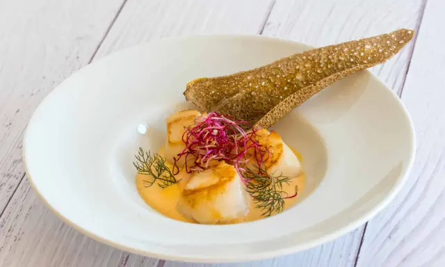 Saint-Jacques poêlées dans une sauce onctueuse, garnies de pousses rouges et d'aneth, accompagnées d'une tuile de sarrasin. Un délice de table à la française.
