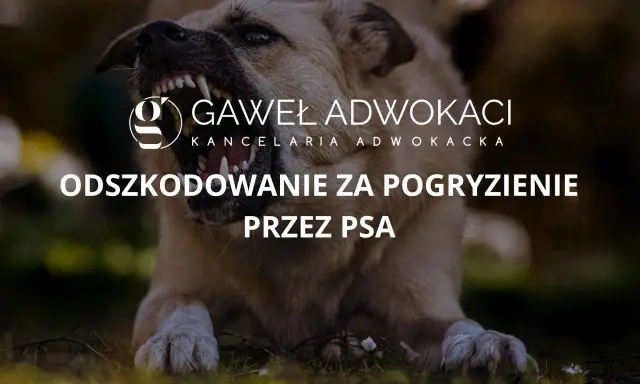 Pogryzienie przez psa: Co robić? Pierwsza pomoc, lekarz, odszkodowanie