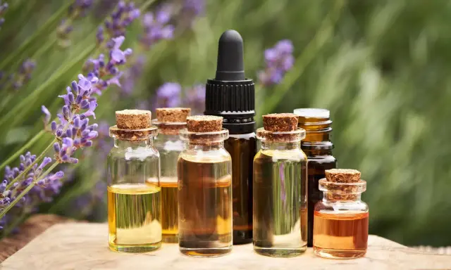 Bottigliette di oli essenziali, con lavanda sullo sfondo, che evocano le loro proprietà benefiche e naturali.
