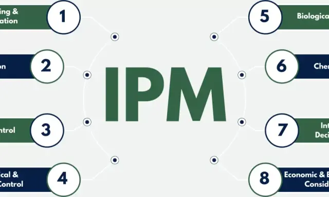 Diagram of IPM components: Monitoring, Prevention, Cultural, Mechanical, Biological, Chemical Control, Integration, and Economic/Environmental Considerations. These highlight the complexity, not necessarily drawbacks of IPM.