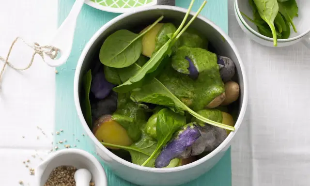 Bunte Kartoffeln mit grüner Sauce und frischem Spinat. Ein leckeres Gericht, das Lust auf mehr Sauerampfer Rezepte macht.