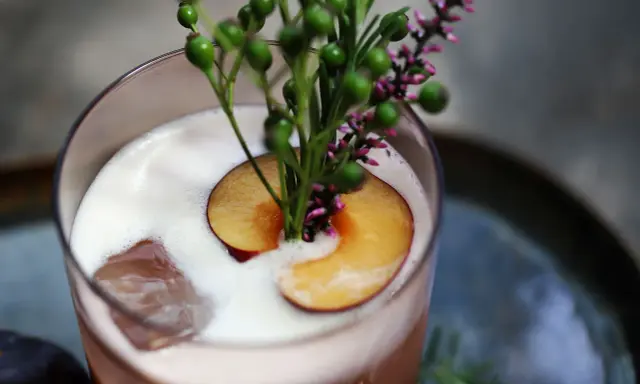 Ein erfrischender Campari Sour mit einer Scheibe Pflaume und zarten grünen Beeren, garniert mit Heidekraut.