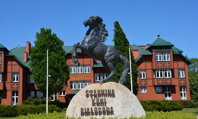 Białogóra: Jazda konna nad morzem galop po plaży, cennik, noclegi