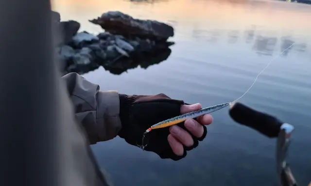 Person med fiskeutrustning håller en laxdrag i handen vid vattnet.