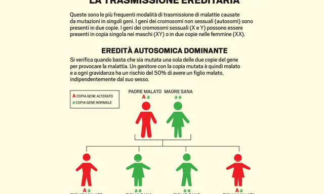 Schema di trasmissione ereditaria autosomica dominante, che illustra come le malattie genetiche più diffuse possono manifestarsi in una famiglia.