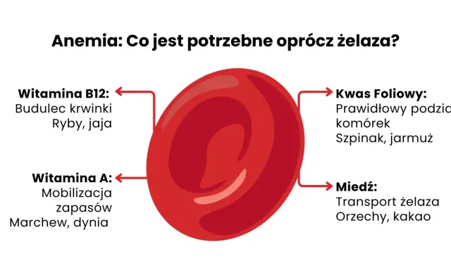 Anemia: co jeść oprócz żelaza? Witamina B12, kwas foliowy, witamina A i miedź są kluczowe. Znajdziesz je w rybach, jajach, szpinaku, marchwi i orzechach.