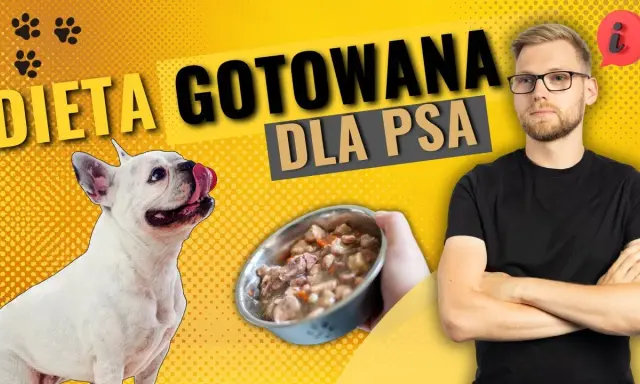 Jak gotowana wieprzowina dla psa może poprawić jego zdrowie?