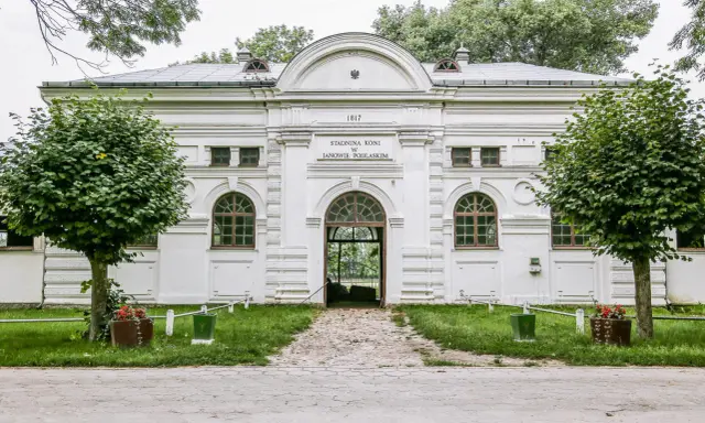 Janów Podlaski: Stadnina Koni Odkryj Tajemnice Polskiej Legendy