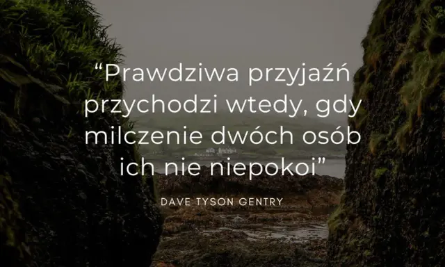 Krajobraz z cytatem o przyjaźni na tle klifów i morza.