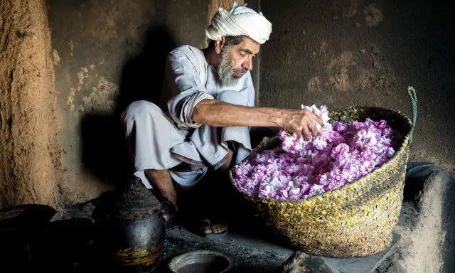 Ein Mann mit Turban und Bart sortiert duftende Blüten in einem Korb. Ein Einblick in die omanische Kultur und traditionelle Handwerkskunst.
