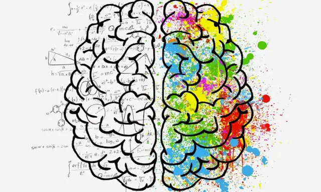 Cerveau divisé : d'un côté, formules mathématiques complexes ; de l'autre, éclaboussures vives. L'influence des couleurs sur la pensée.
