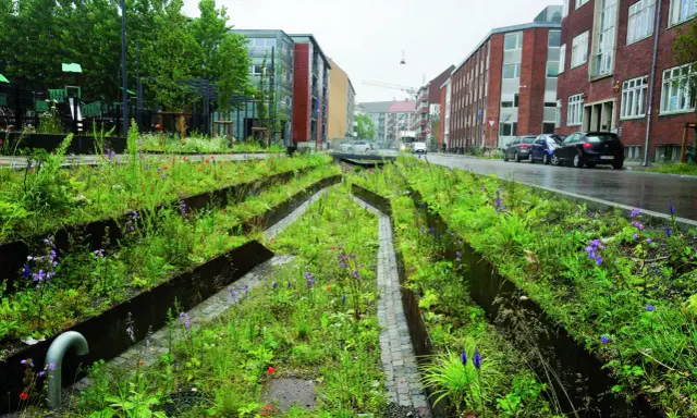 Grüne Oase mit blauer Infrastruktur: Ein Stadtgarten mit Wegen aus Kopfsteinpflaster und metallischen Beeteinfassungen, umgeben von üppiger Vegetation und Blumen.