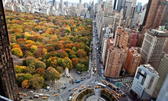 Höstfärger i Central Park, New York. Gula taxibilar trängs på gatorna i Big Apple.