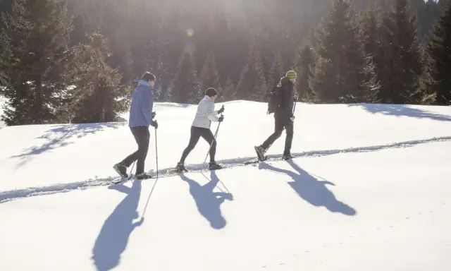 Tre persone camminano con le ciaspole su un sentiero innevato, godendosi le escursioni invernali in Trentino.