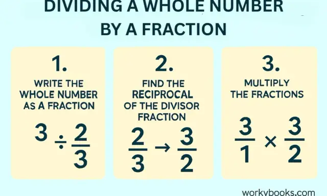Steps to divide a whole number by a fraction: write whole number as fraction, find reciprocal of divisor, multiply fractions.