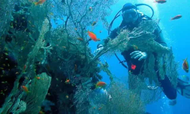 Buceador explorando la rica vida marina y corales en las Islas Medas. Peces naranjas nadan entre las algas.