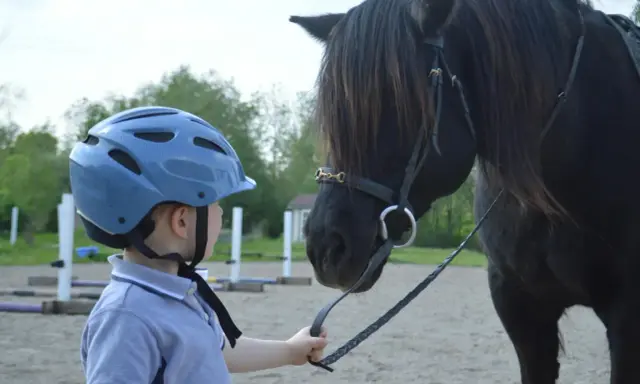Chłopiec w niebieskim kasku i koszulce polo trzyma wodze czarnego konia. To początek nauki, jak jeździć konno.