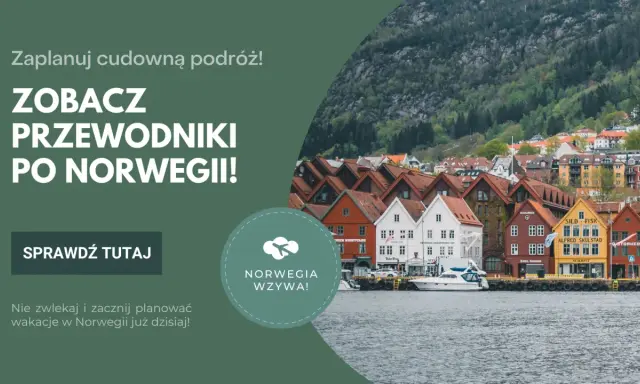 Planujesz studia licencjackie po angielsku w Norwegii? Zobacz przewodniki po tym kraju i zacznij planować podróż!