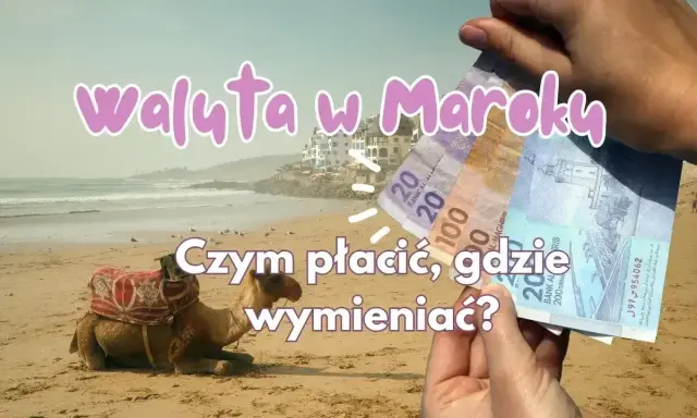 Maroko: euro czy dolary? Na plaży z wielbłądem trzymam dirhamy. Czym płacić i gdzie wymieniać?