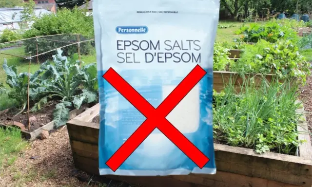 Sac de sels d'Epsom barré, avertissement sur les sels d'epsom danger pour le jardin.