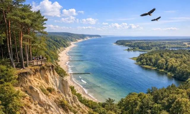 Woliński Park Narodowy: klify, plaża, morze i dwa orły szybujące na niebie. Widok z platformy widokowej.